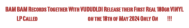 BAM BAM Records Together With VUDUDLDI Release their First Real 180gr VINYL LP Called „A Fart Into The Blue“ on the 18th of May 2024 Only On JPC!!!